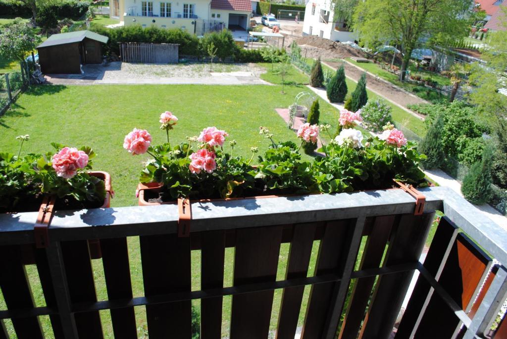 Gaestehaus Maier Rust Habitación foto